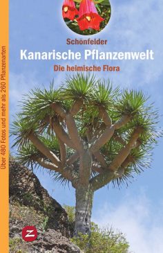 Kanarische Pflanzenwelt (ebook)