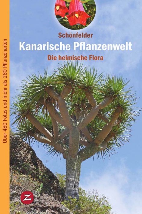 Kanarische Pflanzenwelt, die heimische Flora - de Ingrid y Peter Schönfelder