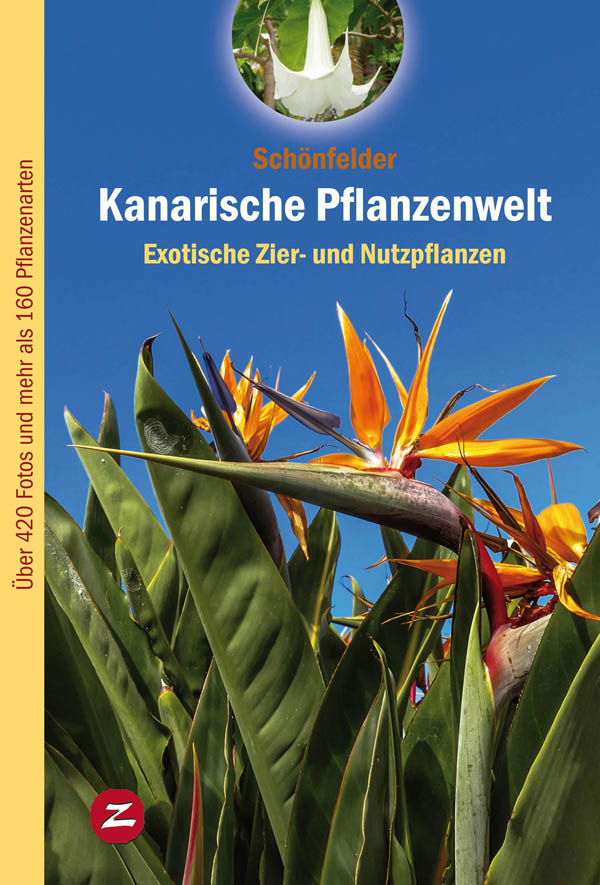 Kanarische Pflanzenwelt, exotische Zier- und Nutzpflanzen - de Ingrid y Peter Schönfelder