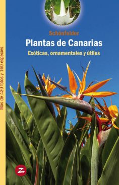 Plantas de Canarias: Exóticas, ornamentales y útiles