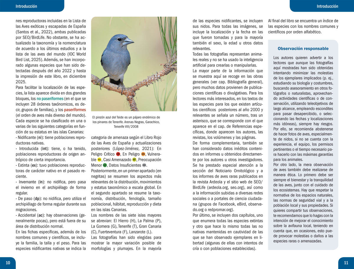 Observación responsable de la avifauna